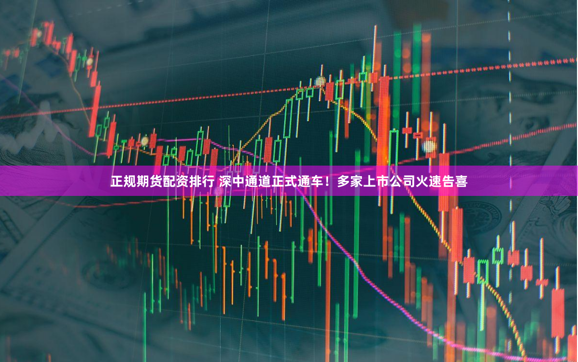 正规期货配资排行 深中通道正式通车!多家上市公司火速告喜